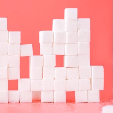 galllery sugarcubes image